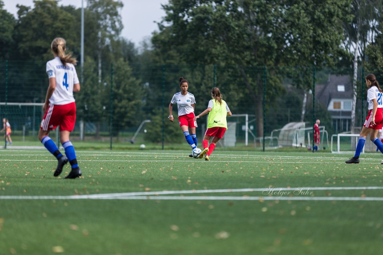 Bild 235 - C-Juniorinnen HSV - Walddoerfer : Ergebnis: 9:1